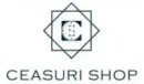 Logo Ceasuri Shop