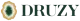 Logo Druzy