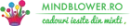 Logo Mindblower